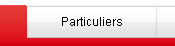 Onglet particuliers